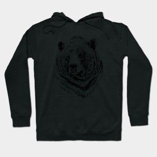 Bear Hoodie